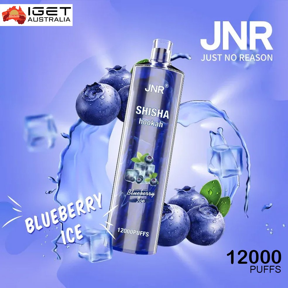 JNR SHISHA HOOKAH – BLUEBERRY ICE – 12000 PUFFS
