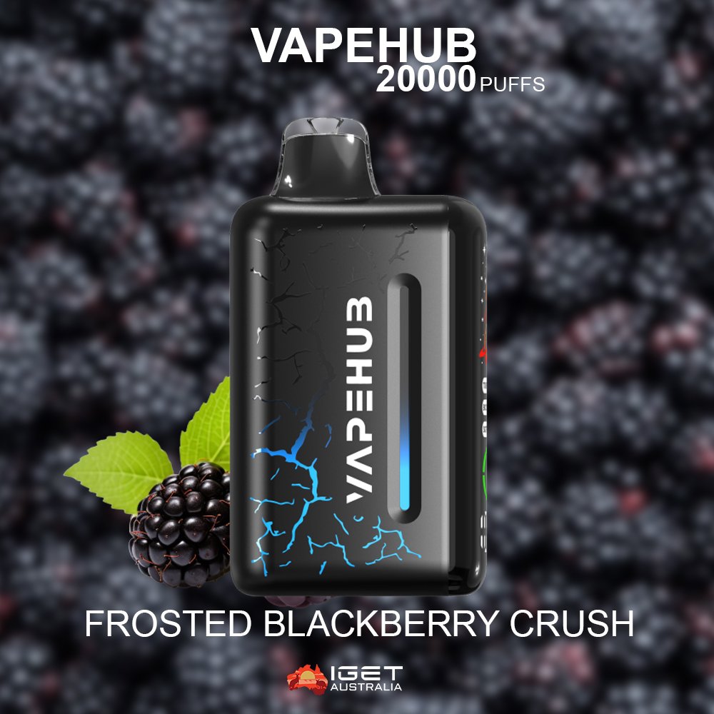 VAPEHUB FROSTED BLACKBERRY CRUSH – 20000 PUFFS